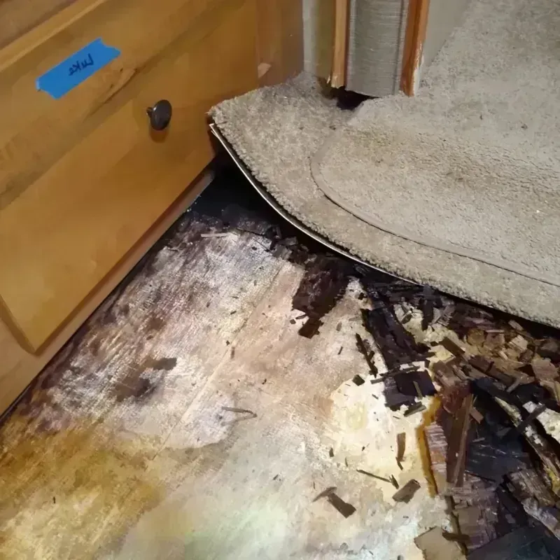 Best Wood Floor Water Damage Service in Coal Creek, CO